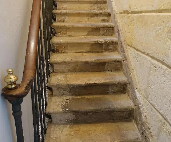 La Salamandre בורדו